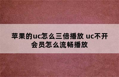 苹果的uc怎么三倍播放 uc不开会员怎么流畅播放